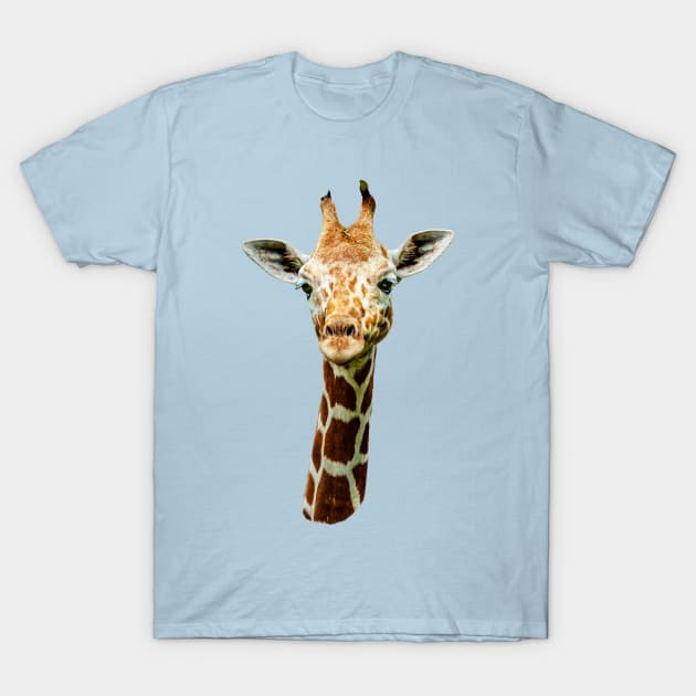 Giraffe stare T-Shirt by dalyndigaital2@gmail.com